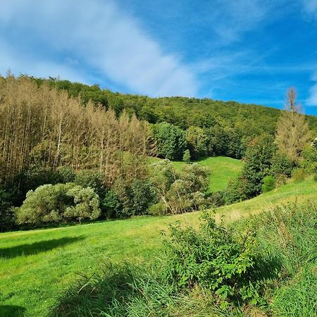 Das-Urlaubszuhause-Fuer-Familien-Grossfamilien-Mehrfamilien-Und-Kleine-Gruppen-Bis-Zum-12-Personen-Mit-Vielen-Unterhaltungsmoeglichkeiten-Im-Harz Villa Sieber Eksteriør billede