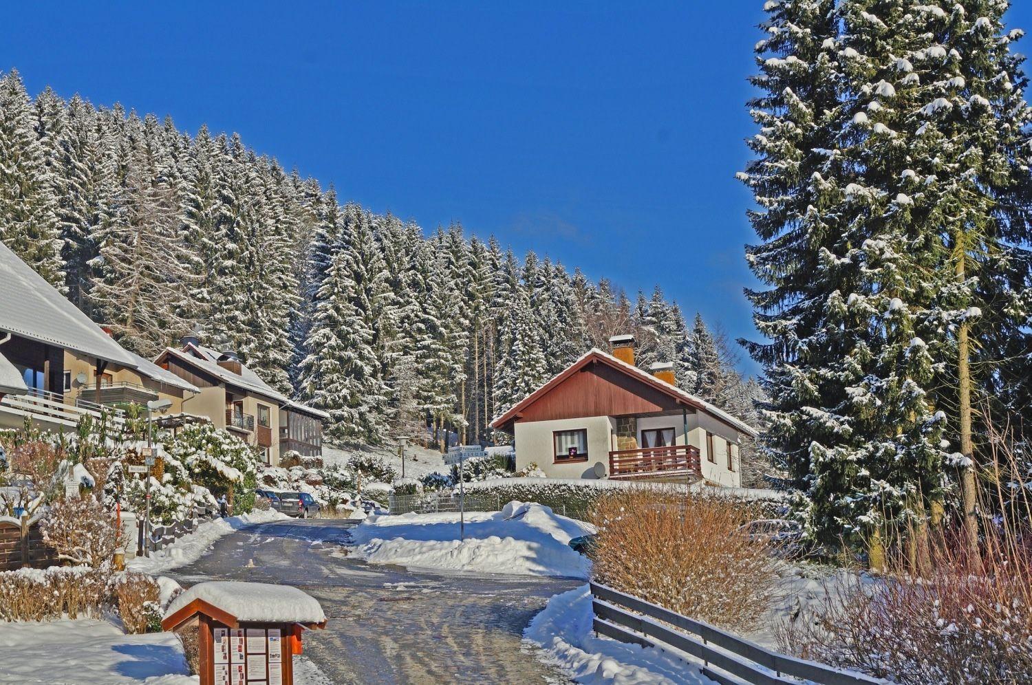 Das-Urlaubszuhause-Fuer-Familien-Grossfamilien-Mehrfamilien-Und-Kleine-Gruppen-Bis-Zum-12-Personen-Mit-Vielen-Unterhaltungsmoeglichkeiten-Im-Harz Villa Sieber Eksteriør billede