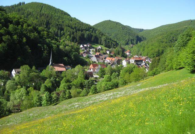 Das-Urlaubszuhause-Fuer-Familien-Grossfamilien-Mehrfamilien-Und-Kleine-Gruppen-Bis-Zum-12-Personen-Mit-Vielen-Unterhaltungsmoeglichkeiten-Im-Harz Villa Sieber Eksteriør billede