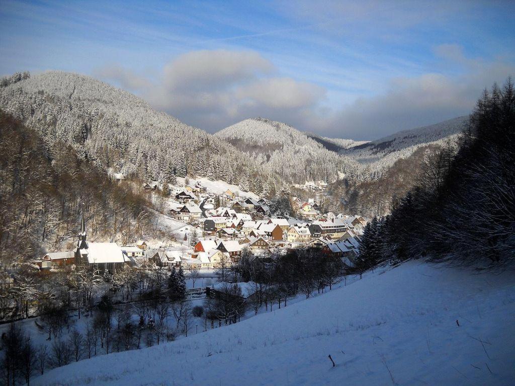 Das-Urlaubszuhause-Fuer-Familien-Grossfamilien-Mehrfamilien-Und-Kleine-Gruppen-Bis-Zum-12-Personen-Mit-Vielen-Unterhaltungsmoeglichkeiten-Im-Harz Villa Sieber Eksteriør billede