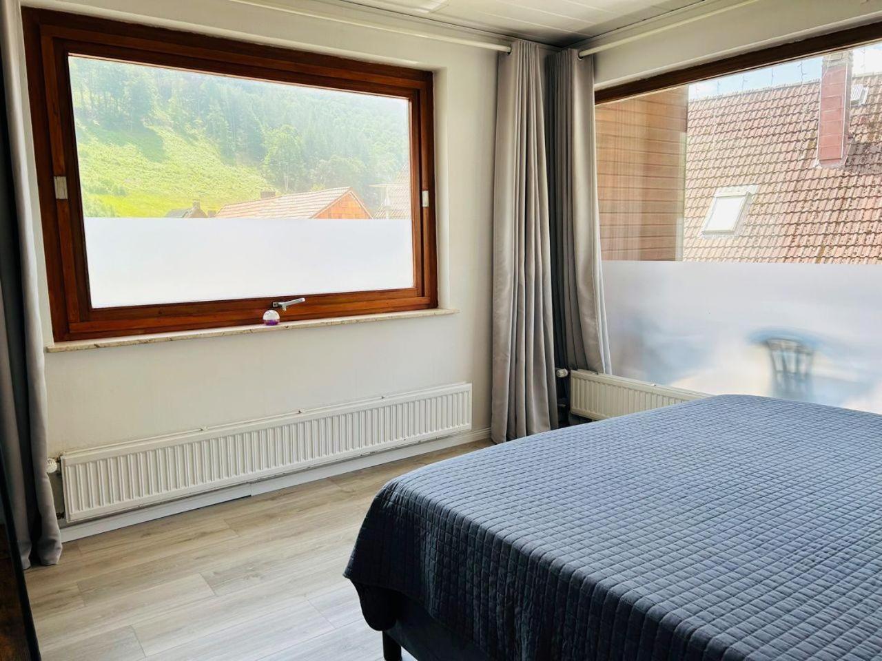 Das-Urlaubszuhause-Fuer-Familien-Grossfamilien-Mehrfamilien-Und-Kleine-Gruppen-Bis-Zum-12-Personen-Mit-Vielen-Unterhaltungsmoeglichkeiten-Im-Harz Villa Sieber Eksteriør billede