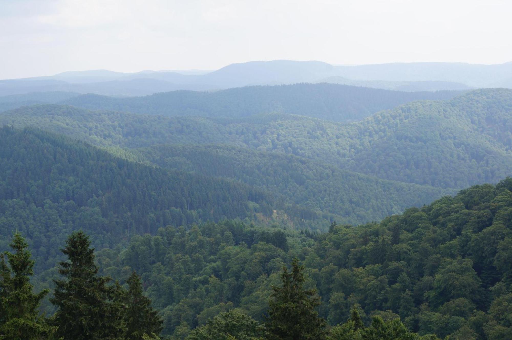 Das-Urlaubszuhause-Fuer-Familien-Grossfamilien-Mehrfamilien-Und-Kleine-Gruppen-Bis-Zum-12-Personen-Mit-Vielen-Unterhaltungsmoeglichkeiten-Im-Harz Villa Sieber Eksteriør billede