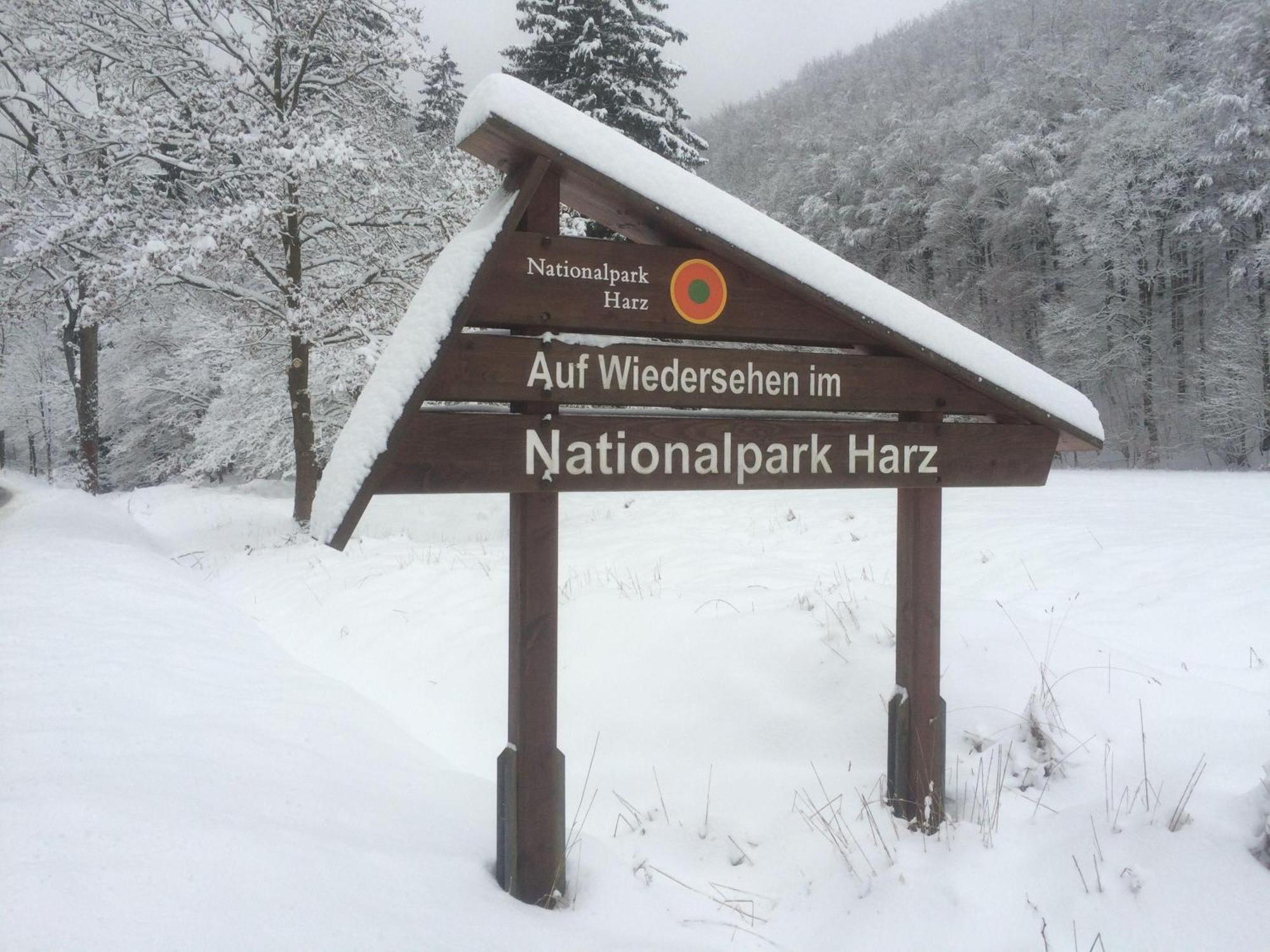 Das-Urlaubszuhause-Fuer-Familien-Grossfamilien-Mehrfamilien-Und-Kleine-Gruppen-Bis-Zum-12-Personen-Mit-Vielen-Unterhaltungsmoeglichkeiten-Im-Harz Villa Sieber Eksteriør billede