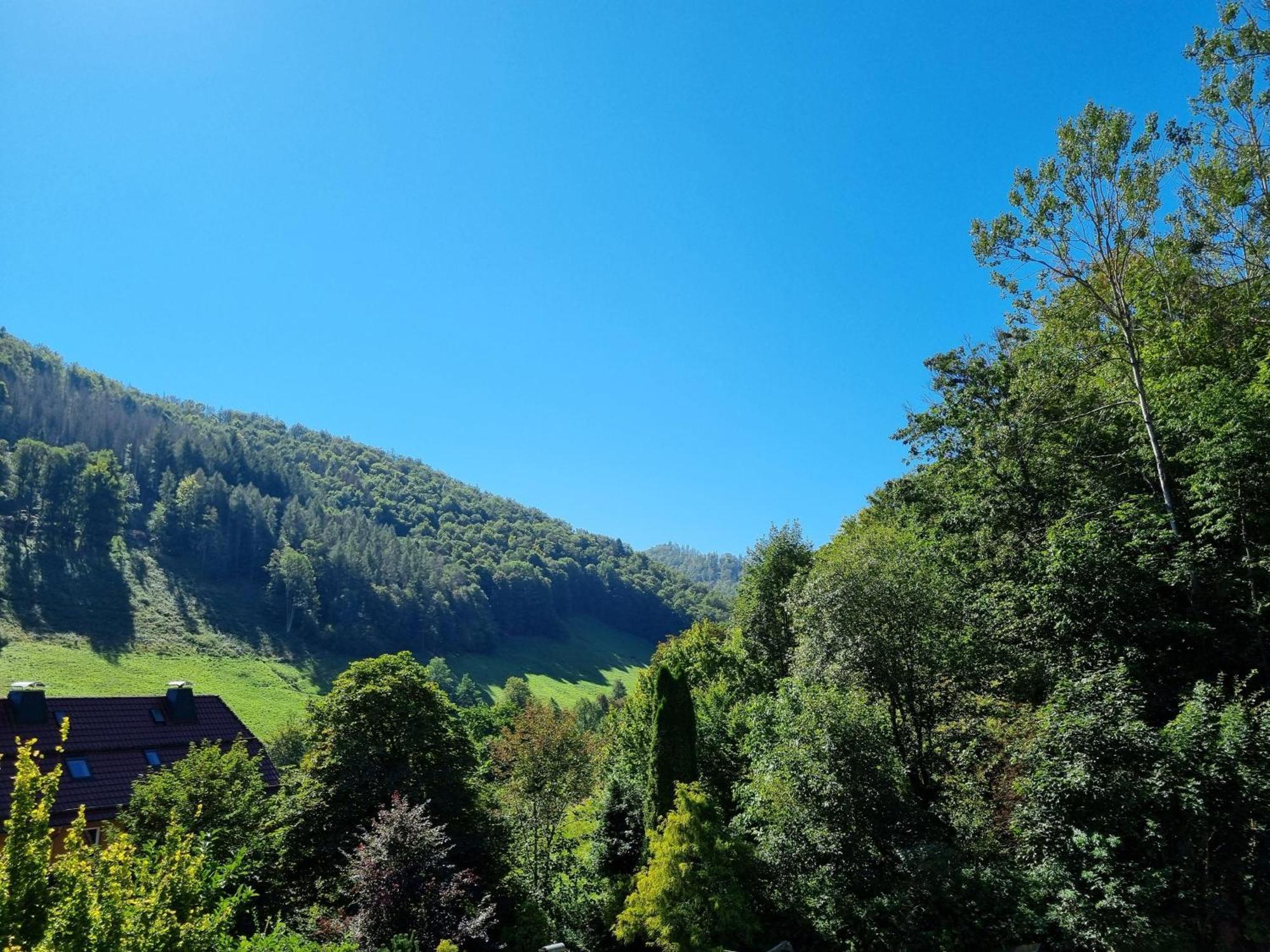 Das-Urlaubszuhause-Fuer-Familien-Grossfamilien-Mehrfamilien-Und-Kleine-Gruppen-Bis-Zum-12-Personen-Mit-Vielen-Unterhaltungsmoeglichkeiten-Im-Harz Villa Sieber Eksteriør billede